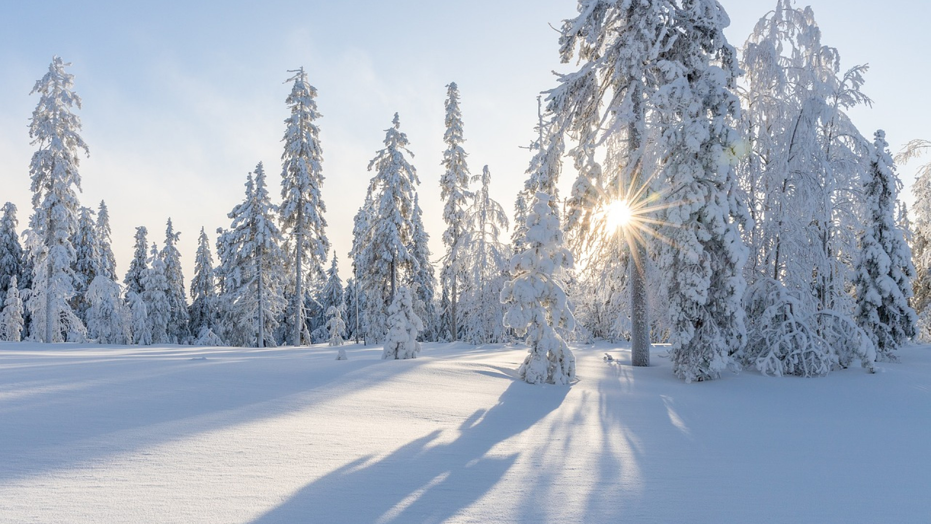 Nos idées de voyage pour cet hiver